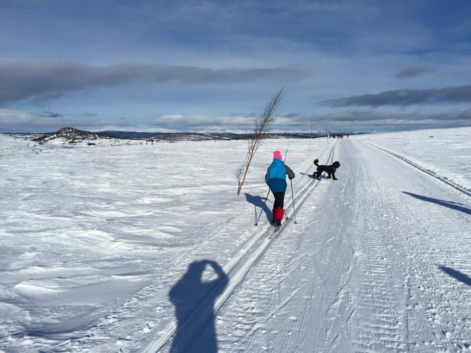 2015 noorwegen ingrid skien 02