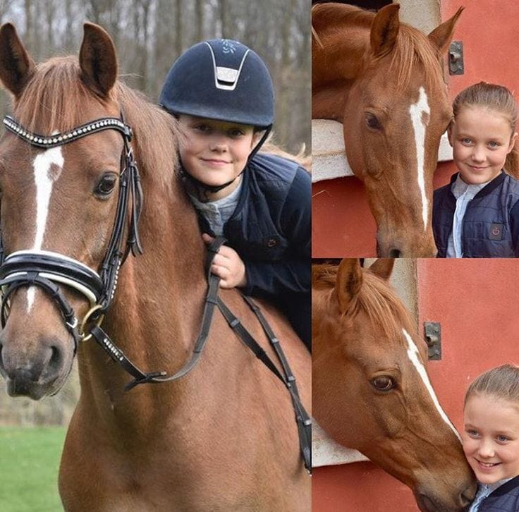 2021 denemarken isabella paard ddk