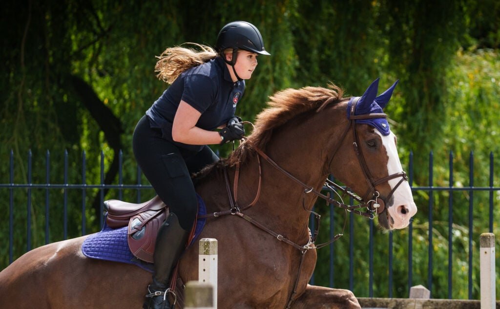 2021 amalia paard mojito