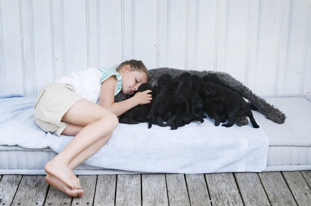 2013 ingrid puppy 01