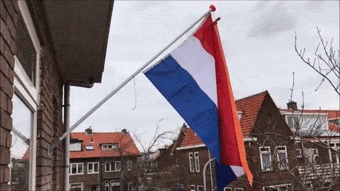 gif vlag en wimpel
