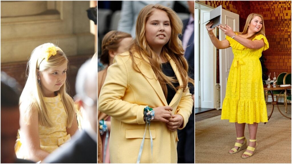 amalia geel anp collage