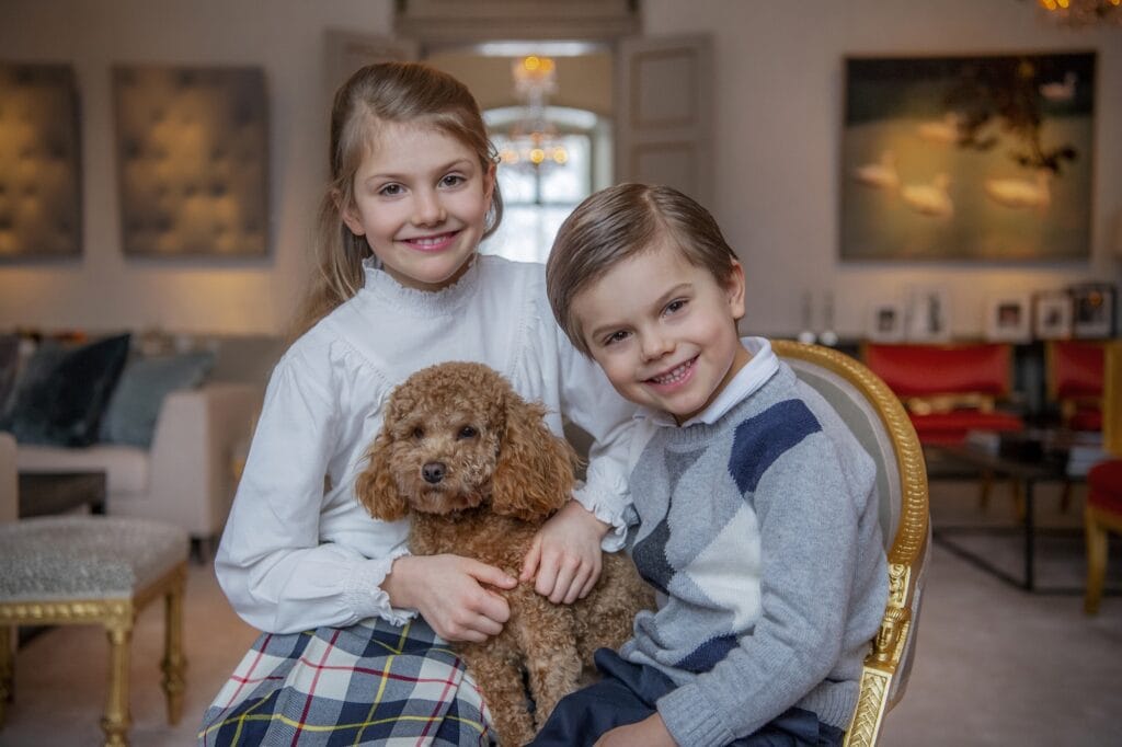 2020 rio estelle oscar zweden hond kh1