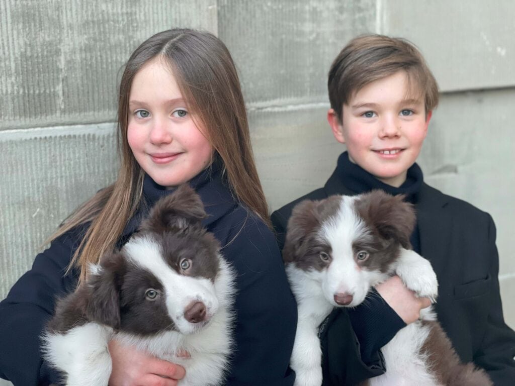 2021 vincent josephine hond