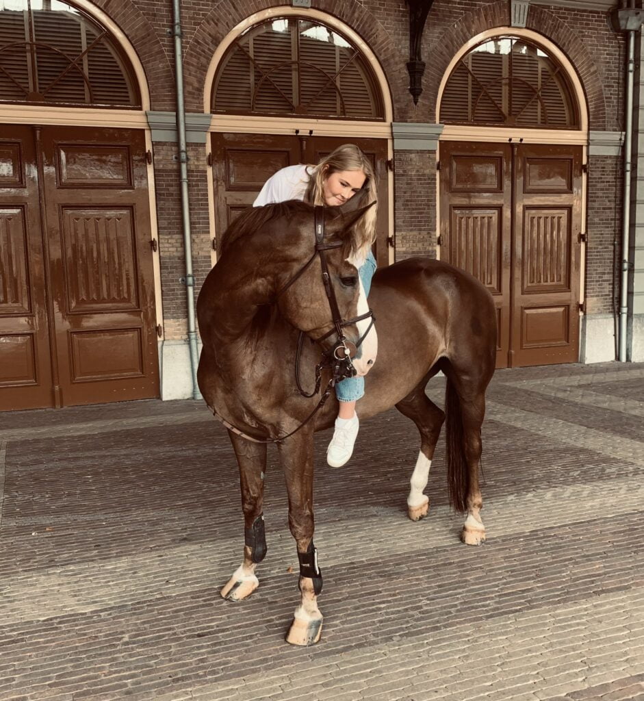 2022 amalia dierendag mojito paard rvd