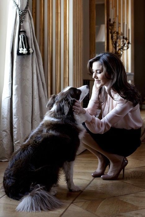 mary denemarken hond ziggy