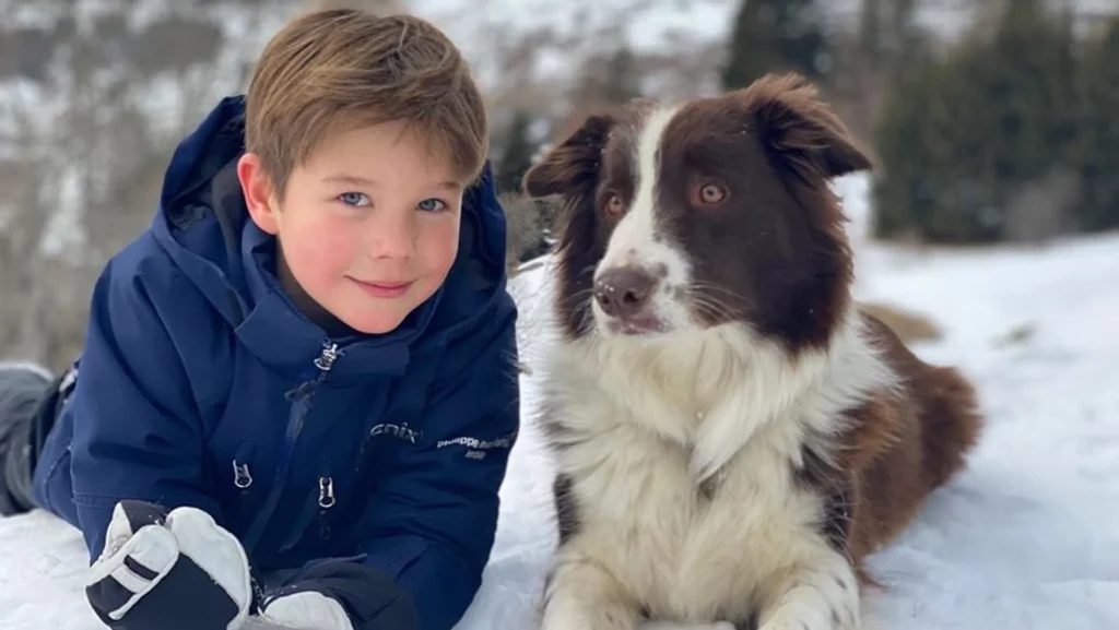vincent denemarken hond grace
