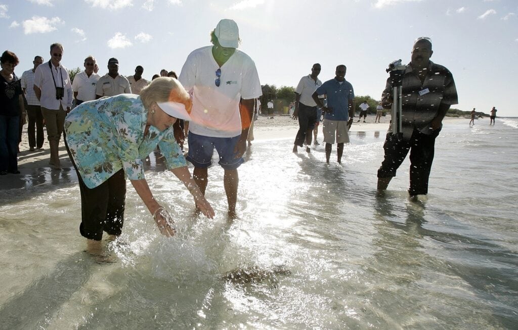 2006 beatrix bonaire schildpad strand zee ANP