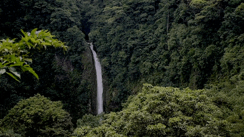 gif costa rica