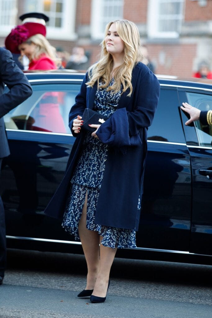 Binnengeleiding Amalia in Raad van State