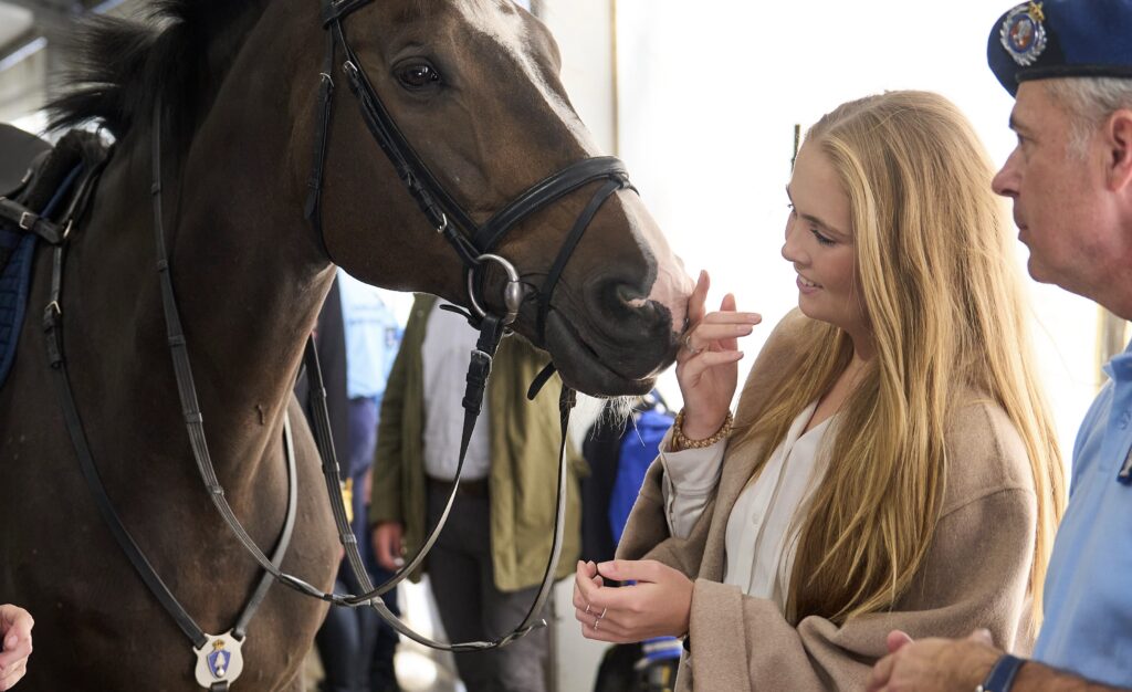 2024-amalia-ring-paard-rvd