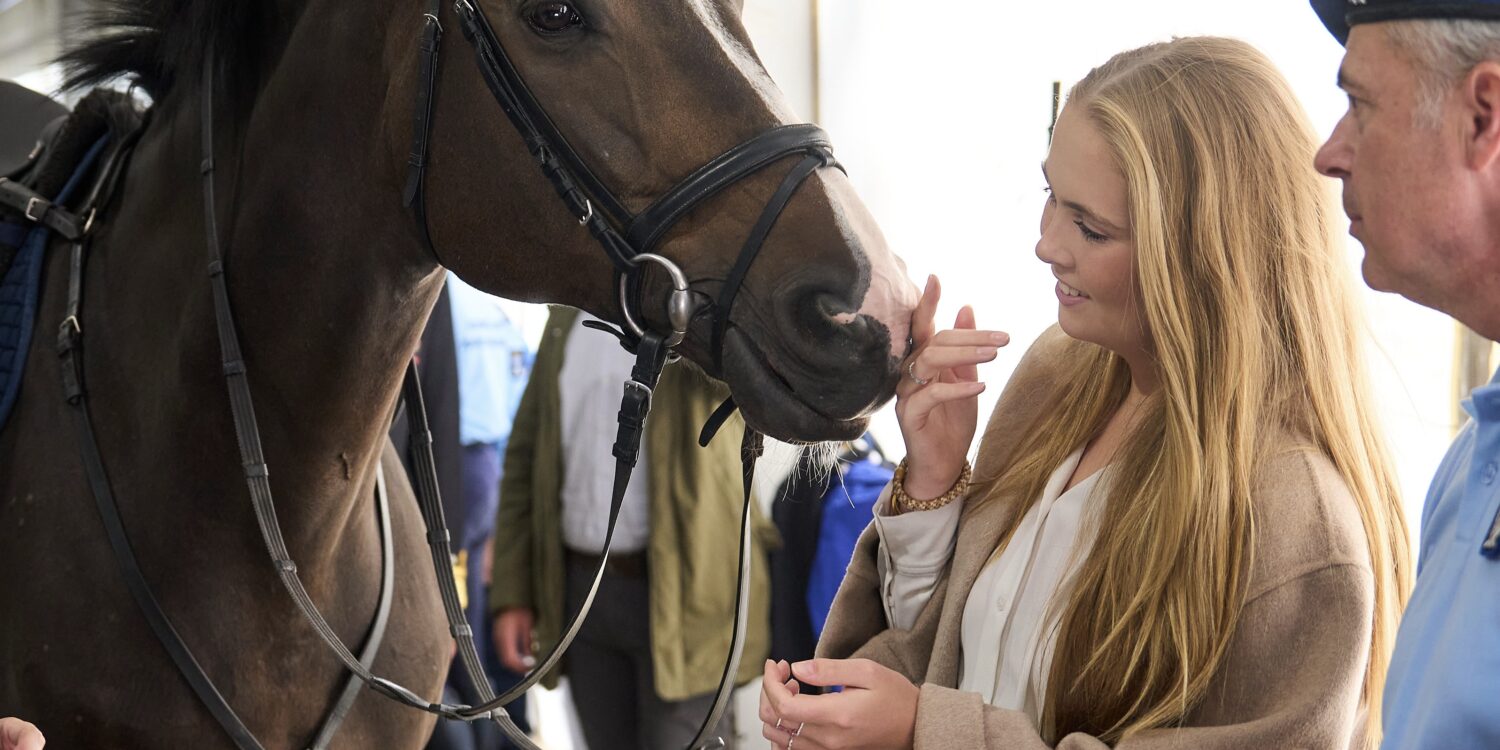 2024-amalia-ring-paard-rvd