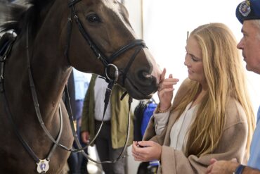2024-amalia-ring-paard-rvd