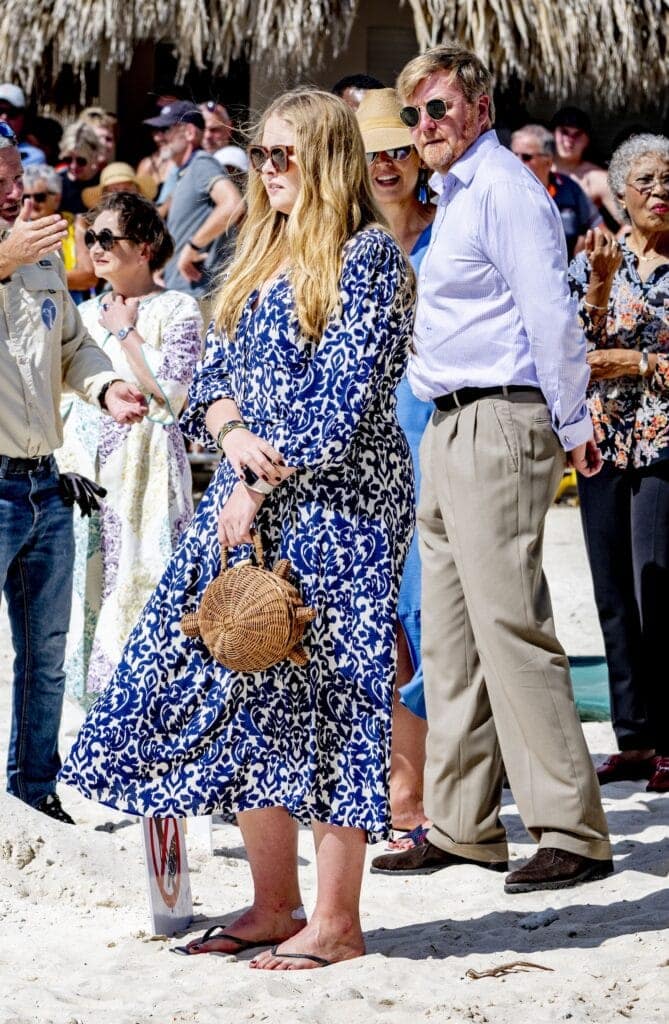 2023 cariben amalia tas schildpad raffia anp