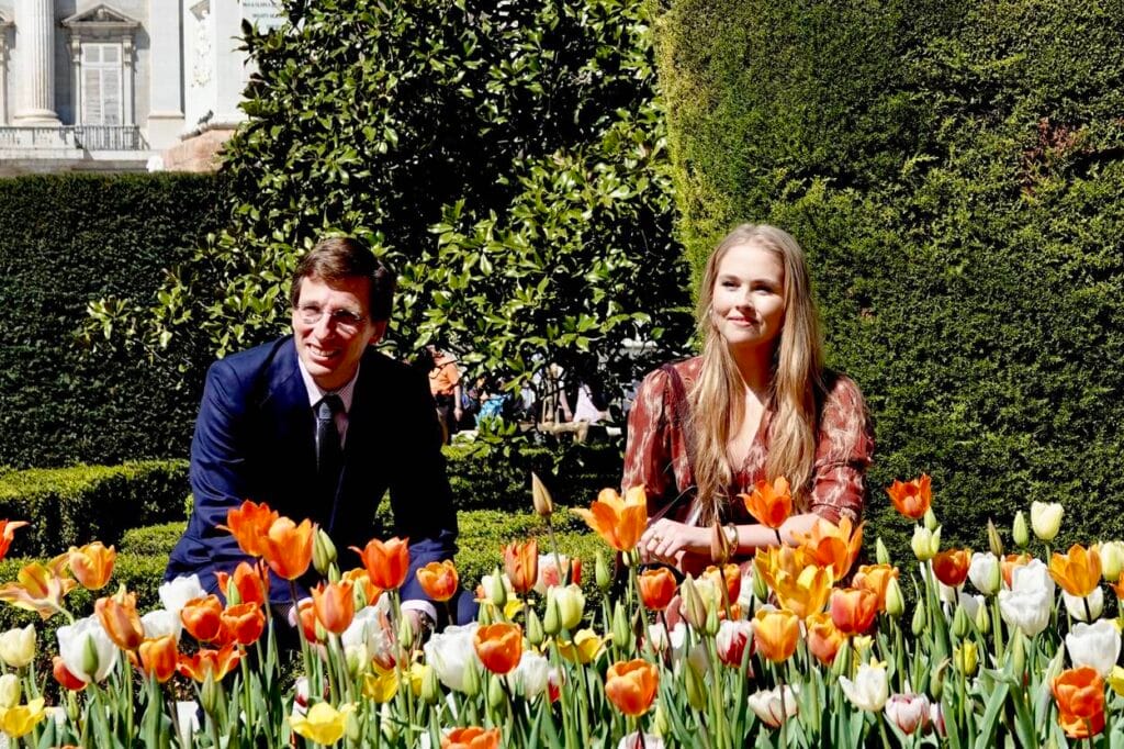 2025 amalia madrid tulpen rvd3