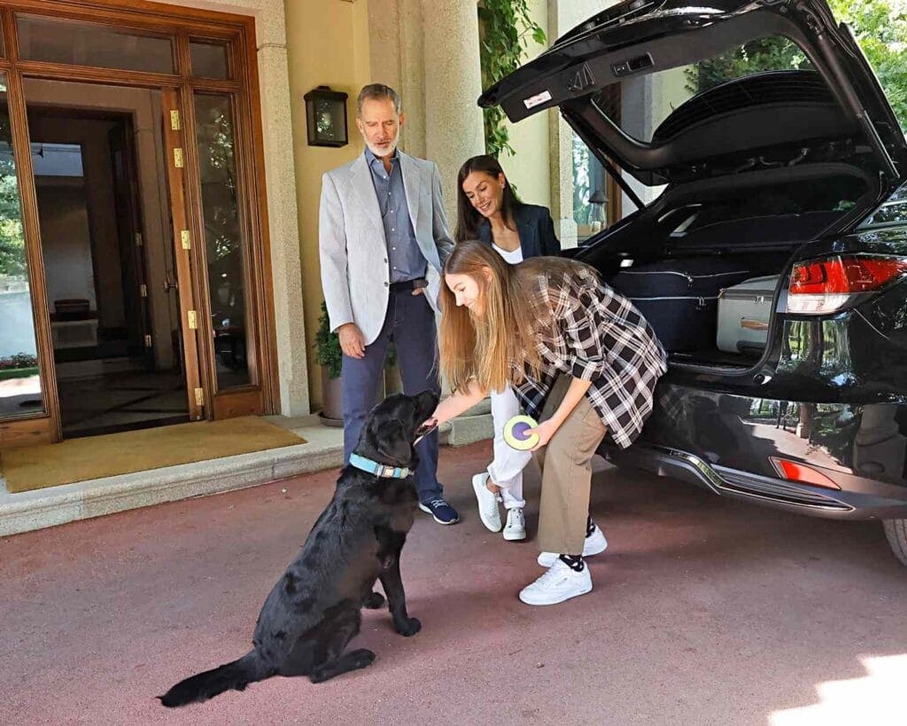 2023 spanje labrador hond Juan CR
