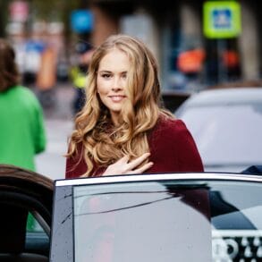 ANP 542736743 inPixio (2)