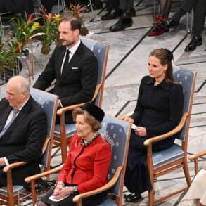 ANP 544495464 inPixio