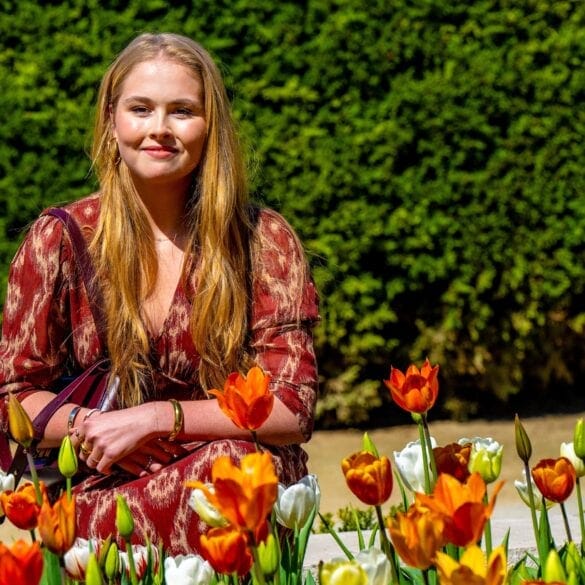 2025 amalia madrid tulpen anp