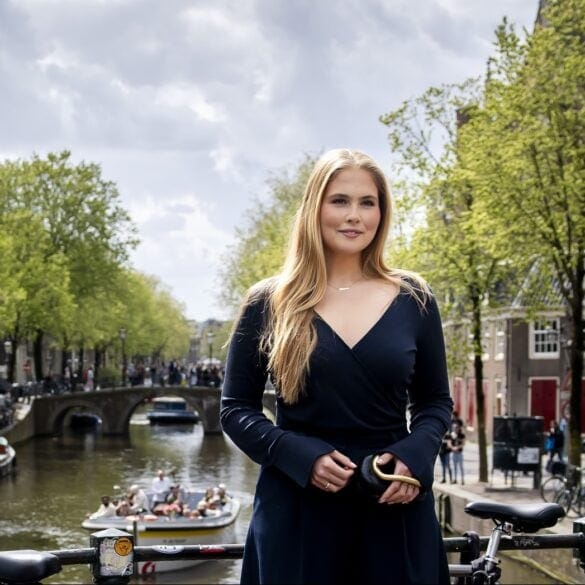 ANP 556017031 inPixio